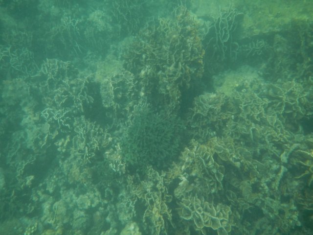 dscn1676